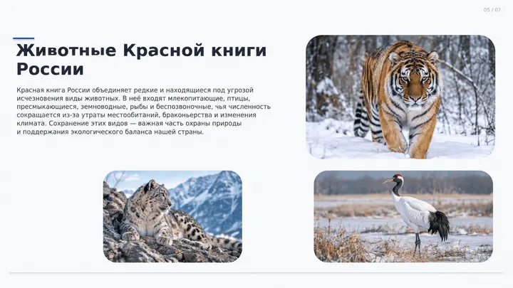 Пример слайда: Животные Красной книги России